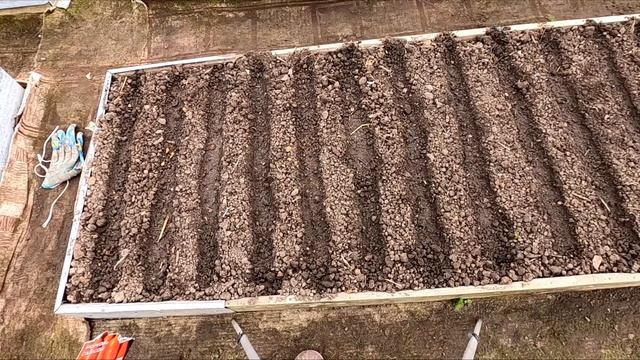 Посеяла морковь. Посадила капусту. Лучшее время для посадки. Майские трудодни. смотреть онлайн