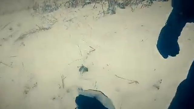 покатушки на снегокате