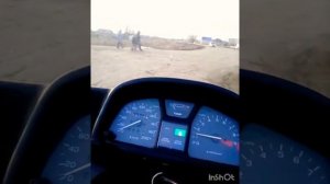открыл сезон на Хонда Трансальп 600