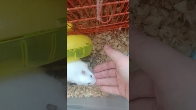 21 октября 2023 г. смотреть онлайн