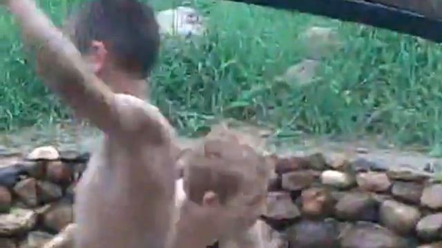 Александровский зоопарк ПРИКОЛЫ ZOO смотреть онлайн