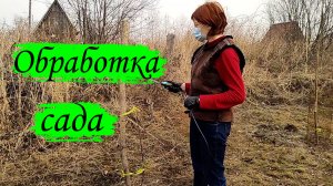 Первая обработка плодового сада