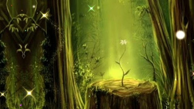 Небесное послание на 25 мая. Все в ваших руках.