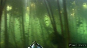 Подводная_охота_в октябре 10-02_Full HD 1080p_MEDIUM_FR30.mp4