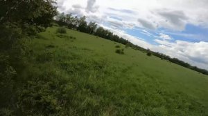 Лето_2021_FPV_съемка_снт_Дубрава_Пятницкое шоссе.webm