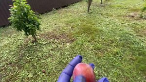 Шарафуга. 30 июля 2022. Самарская область