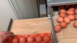 Ферма в Германии.Мобильный курятник „ЛЮКС КЛАССА“automatic chicken coop.Hühnermobil.