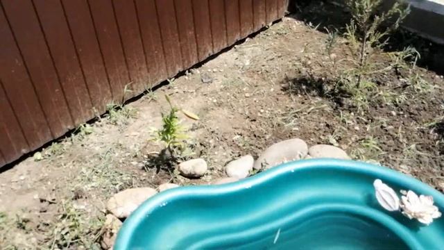 Как оформить патио в загородном доме смотреть онлайн