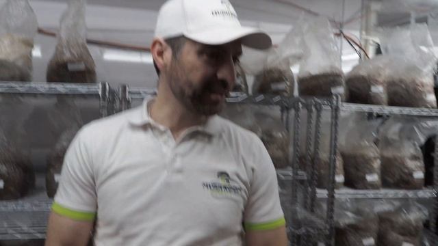 How this small urban mushroom farm produces 2000lbs of mushroom a week! Growing from start to finis смотреть онлайн