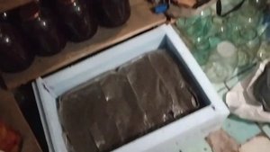 Как вырастить шампиньоны в домашних условиях часть 2 ящик для хранения