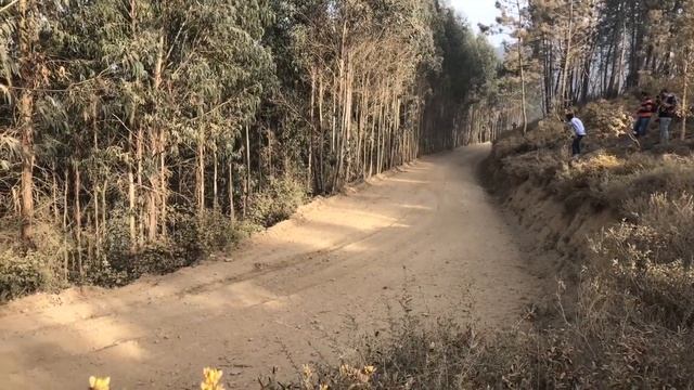 Sebastien Ogier - FORD FIESTA WRC (Colmeal) 7 смотреть онлайн