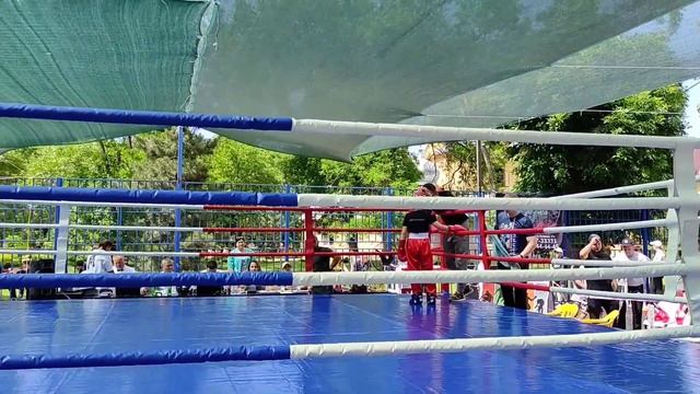 Соревнования по кикбоксингу Новопавловск