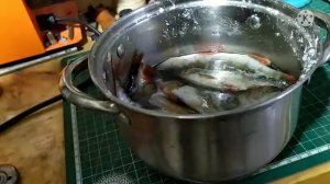 Как правильно солить рыбу на сушку и сохранить её от мух?