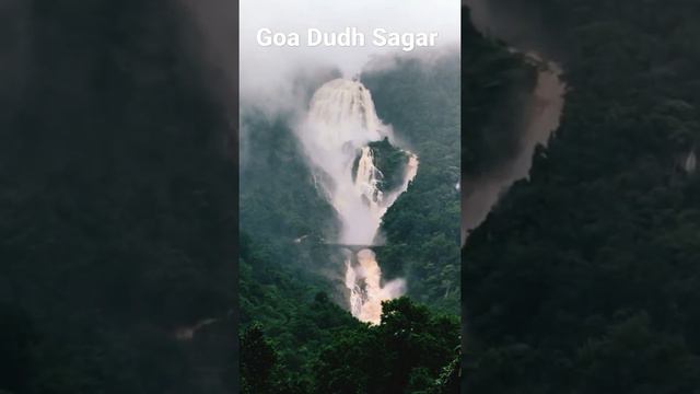 The Most mesmerizing Dudhsagar waterfalls with friends l Love Dudhsagar #goa #dudhsagar #gopro
