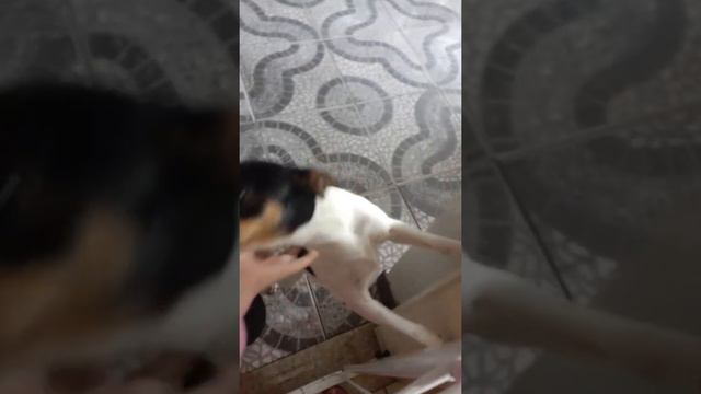 19 de setembro de 2021 смотреть онлайн