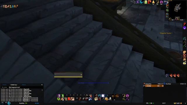 Guide | WoW Classic | SOD: Solo Baron Silverlaine in Burg Schattenfang (SFK) (Guide/Deutsch/German) смотреть онлайн