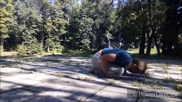 как научиться стоять на предплечьях, пинча майюрасана, упражнения для подготовки