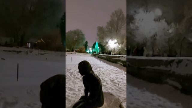 Зимняя сказка.Новый год в Саратове.