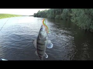 Ока рыбалка на судака с лодки летом 2022.