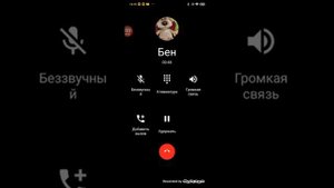 МНЕ ЗВОНИТ ГОВОРЯЩИЙ БЕН