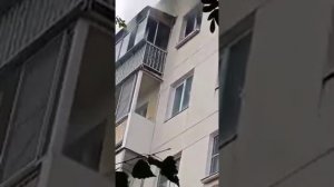 Пажар краснотурьинск бульвар мира 3