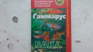 Основной корм для мелких и средних рыб. Гаммарус