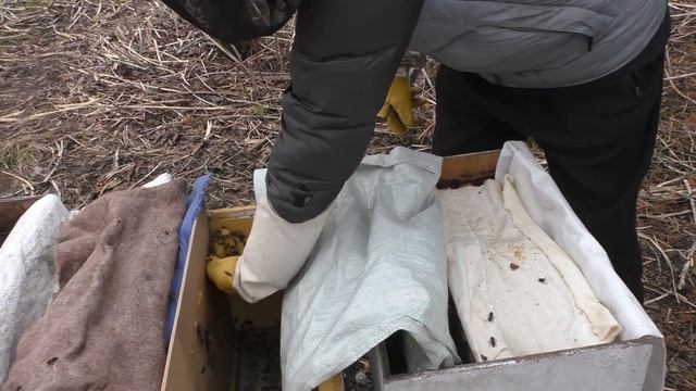 8 апреля. ПЕРВЫЕ РАБОТЫ на ПАСЕКЕ смотреть онлайн