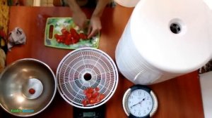 Сушка помидоров «Чумак»  | Вяленые помидоры на зиму | Сушилка для овощей и фруктов Ezidri