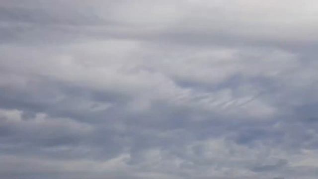 NIKON 1 j5 FIELD TEST 2020 смотреть онлайн