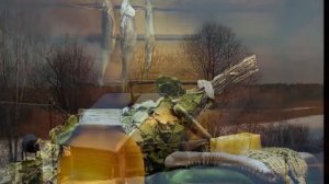 Баня   Михаил Евдокимов