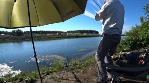 Крупные Лещи на фидер! Отличная Фидерная Рыбалка на Белоярском Водохранилище