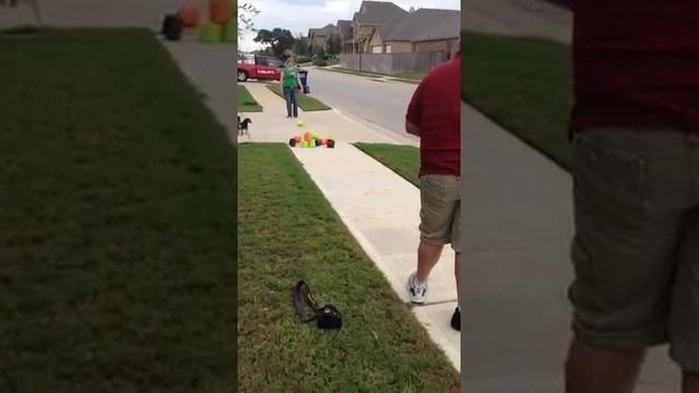 Halloween Pumpkin Bowling Game