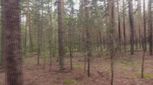 в лес гоняли комаров кормить 2.07.2023..wmv