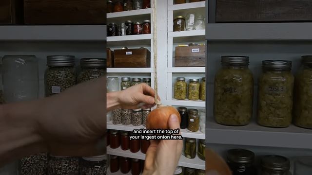 How to String Onions for Long Term Storage