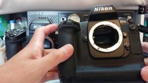 Nikon F5 vs Nikon D1x