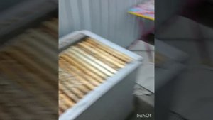 Откачиваю мед в феврале. День первый - загрузка рамок, разогрев.