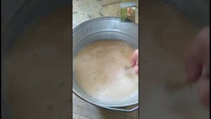 Тля напала на капусту! Боремся доступными средствами без химии!