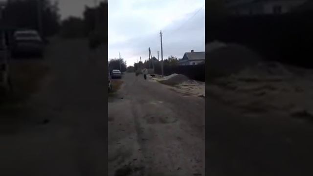 Веселая зарядка от Куликовой Марьяны ко дню Отца.