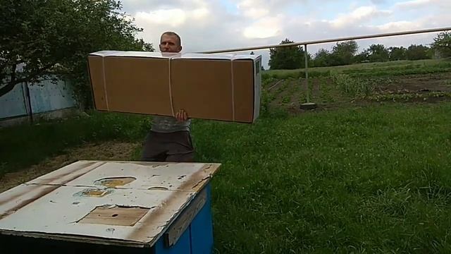 Ура!!! Саша купила нам батут. Прыгаем всей семьёй..mp4 смотреть онлайн