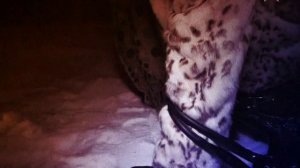 Легенды советского сыска  Брежнев против маньяка