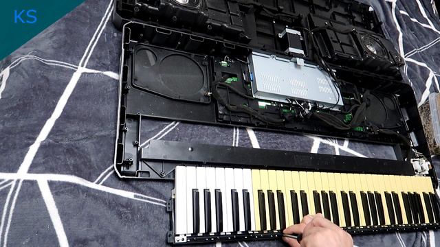 Замена клавиш на Korg Pa 900