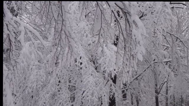 Успокаивающие Звуки Метели и Снега для Отдыха смотреть онлайн