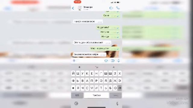 Пропал хомяк! Что делать? смотреть онлайн