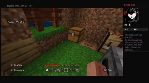 Minecraft with a cool game 2