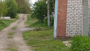 Электро колесо установил на велосипед 250wat 36 v