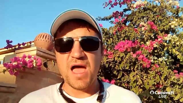Чем занимаются эксперты по продвижению? Кто такой маркетолог