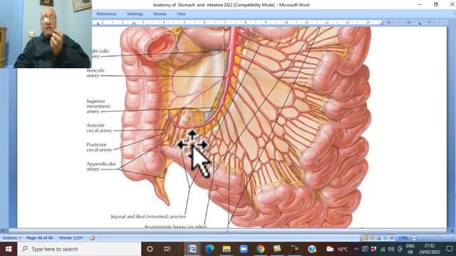 Anatomy GIT Module in English ( Mobile parts of small intestine ) , by Wahdan смотреть онлайн