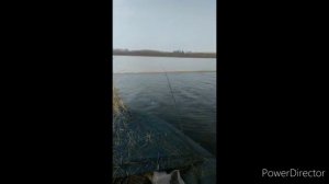 Кривая Лука (Северное Черноярское водохранилище Астраханской области). Russian fishing.