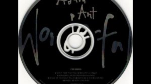 Adam Ant - Wonderful
