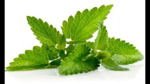 Как вылечить вирусной инфекции домашними средствами